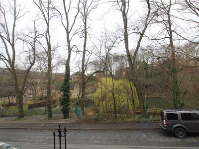 Picture 11